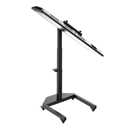 Total Spectrum ULTRA Full Body Red Light Therapy System